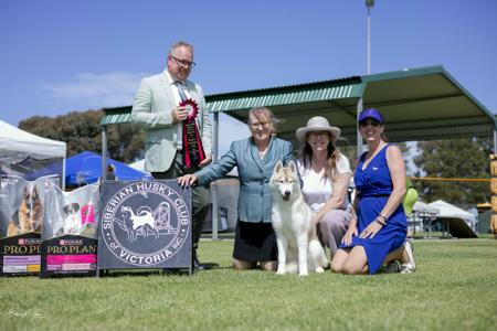 Click to view more details