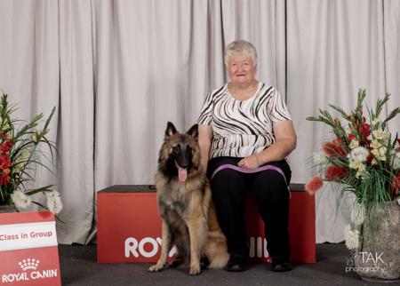 Belgian Shepherd Dog (Tervueren) for sale by SHERORABEL