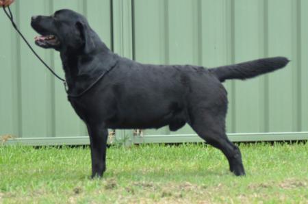 Click to view more details