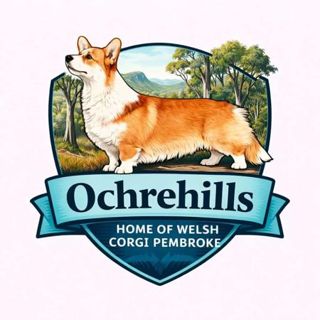 Welsh Corgi (Pembroke) for sale by OCHREHILLS