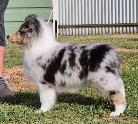 Click to view more details