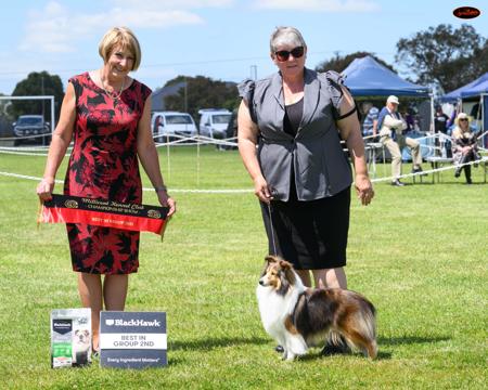 Click to view more details