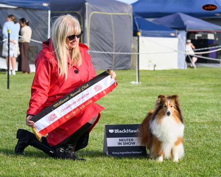 Click to view more details