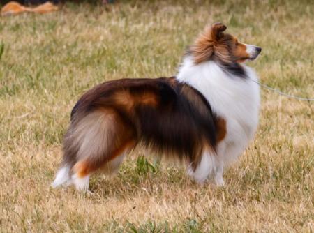 Click to view more details