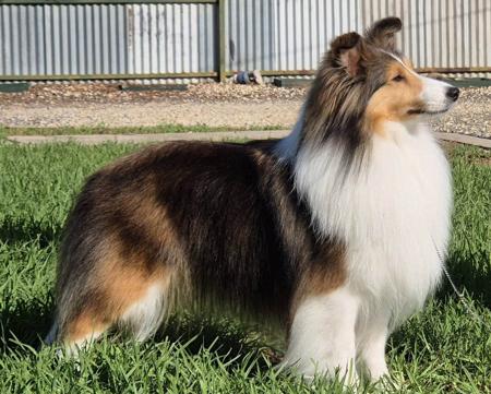 Click to view more details