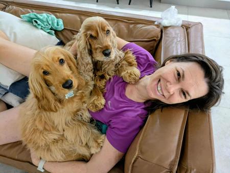 Cocker Spaniel for sale by LIYAMBAI