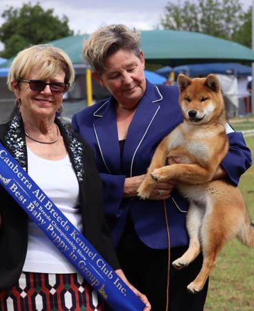 Click to view more details