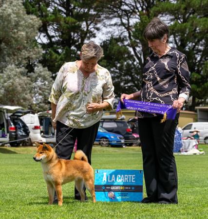 Click to view more details